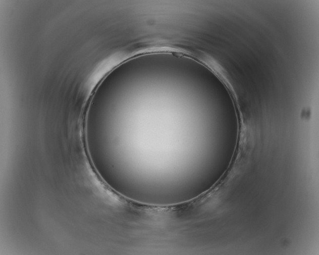 X0000113250813200909241610