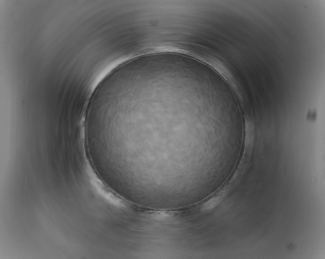 X0000113250814200909241610