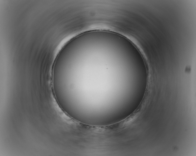 X0000113250815200909241610