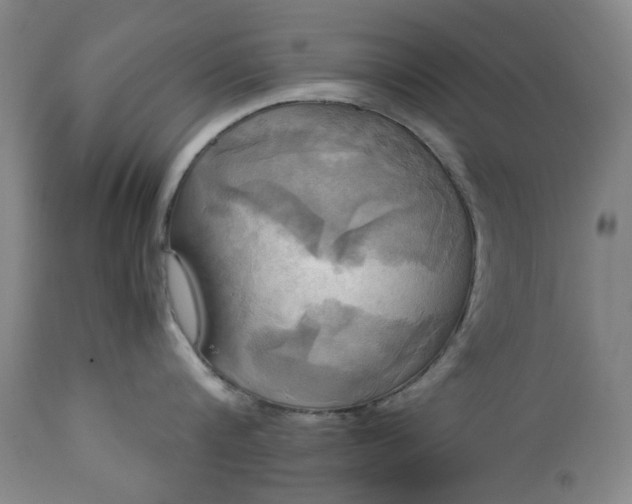 X0000113250816200909241610