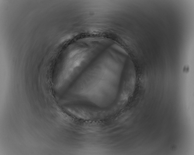 X0000113250817200909241609