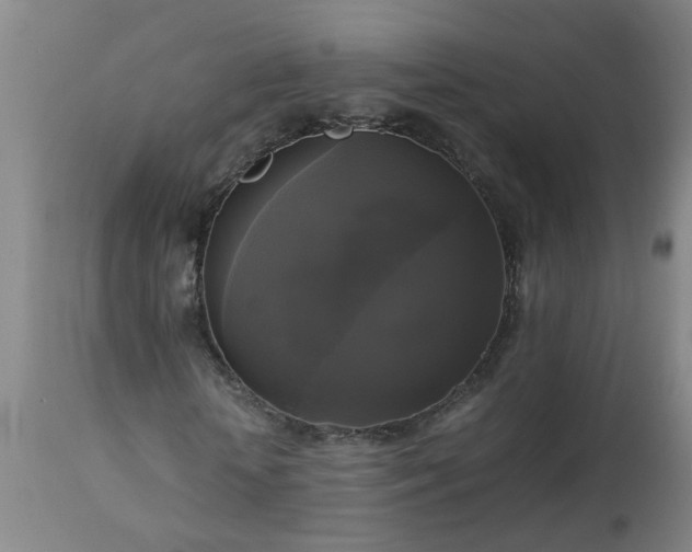 X0000113250818200909241609