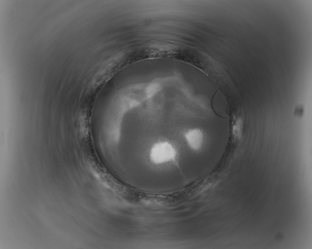 X0000113250819200909241609