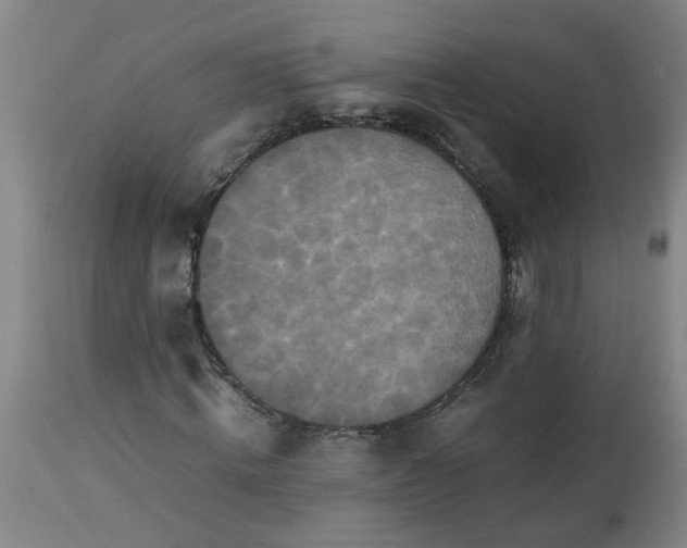 X0000113250820200909241609