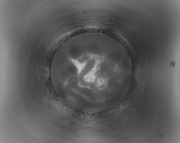 X0000113250821200909241609