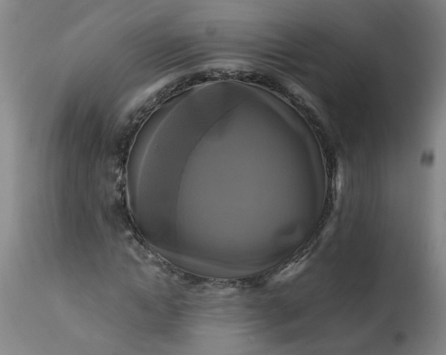 X0000113250822200909241609