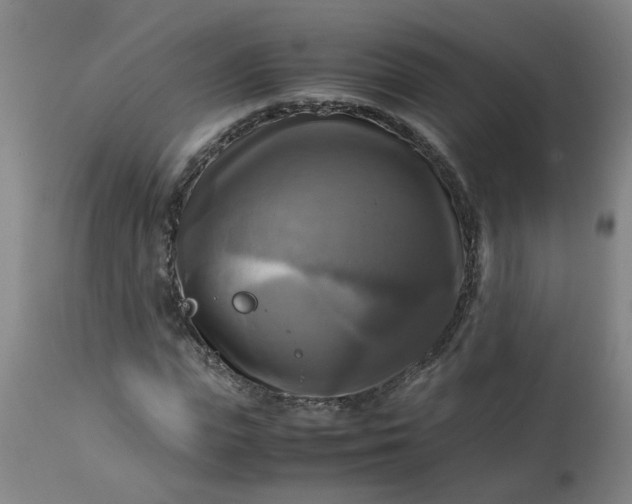 X0000113250823200909241609