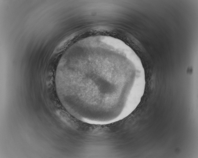 X0000113250824200909241609