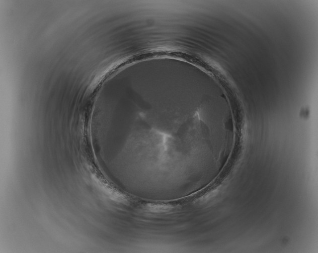 X0000113250825200909241609