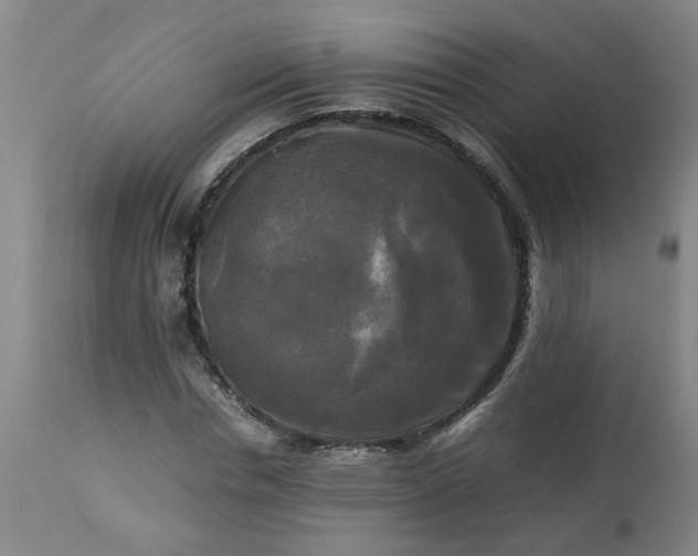 X0000113250826200909241609