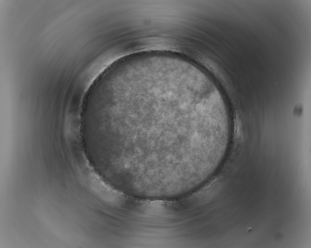 X0000113250828200909241609