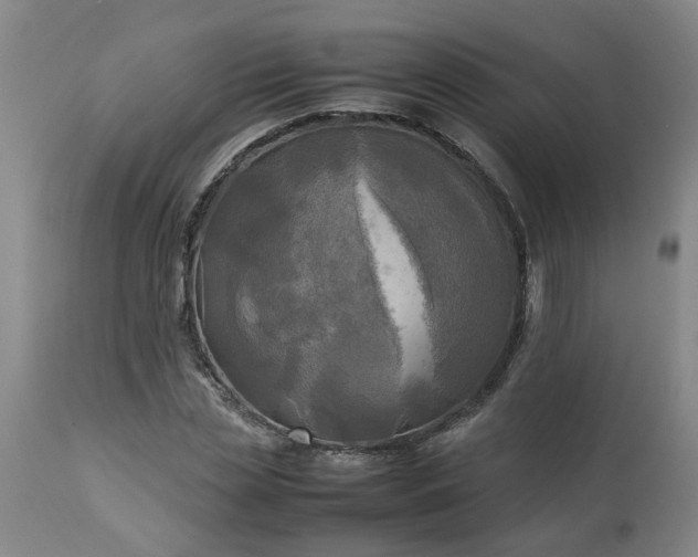 X0000113250829200909241609