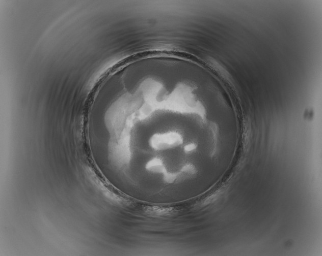 X0000113250831200909241609