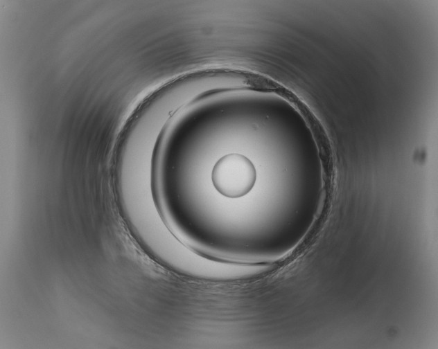 X0000113250832200909241609