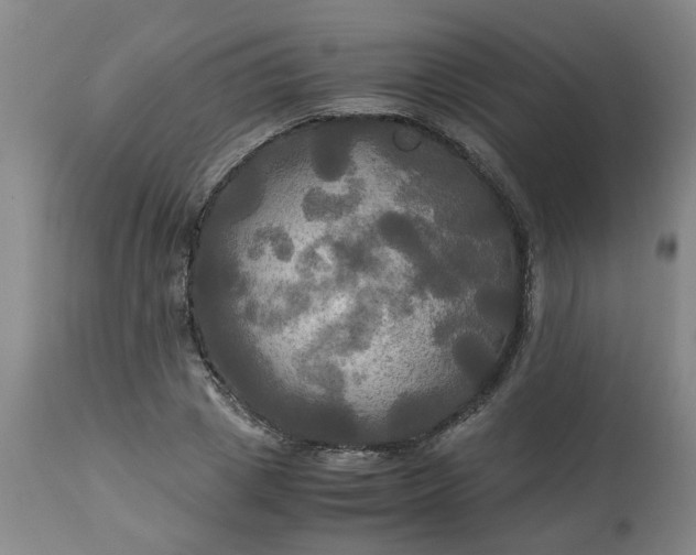 X0000113250833200909241609