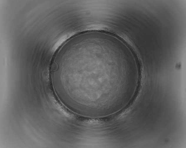 X0000113250834200909241609