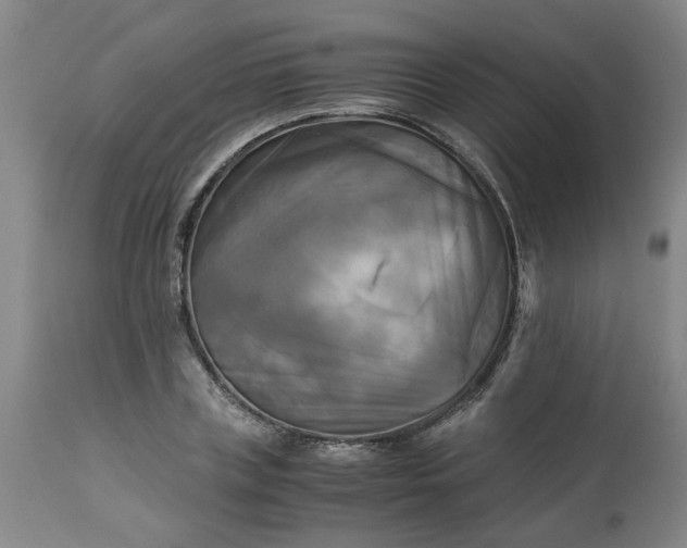 X0000113250835200909241609