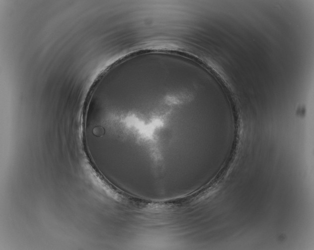 X0000113250840200909241609