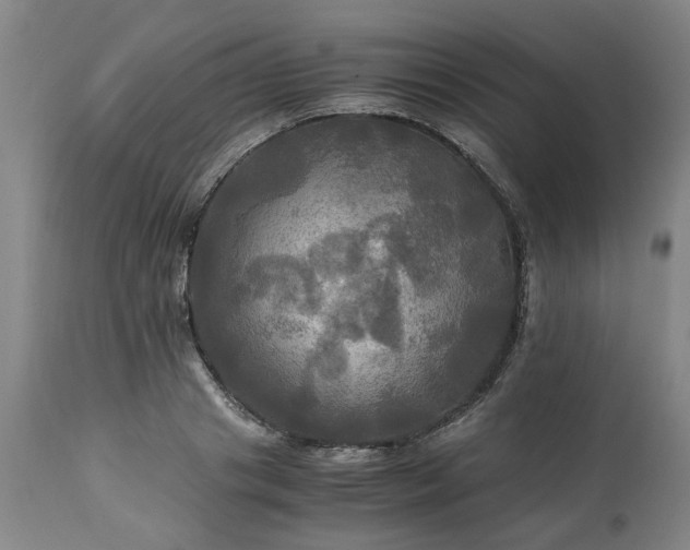 X0000113250841200909241609