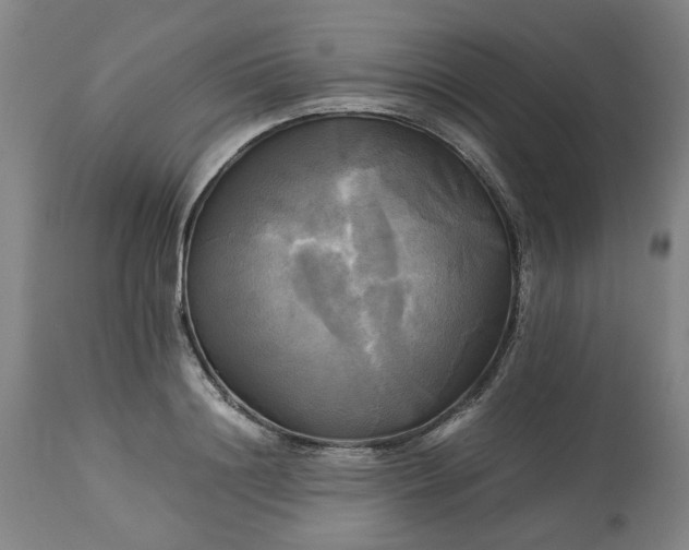 X0000113250844200909241610