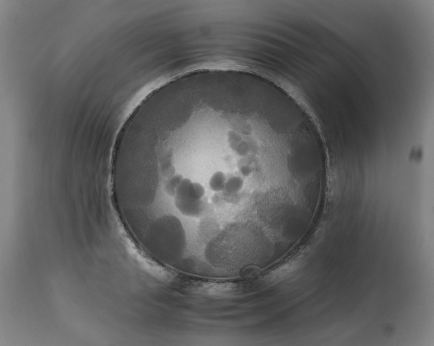 X0000113250845200909241610