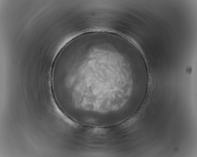 X0000113250847200909241610