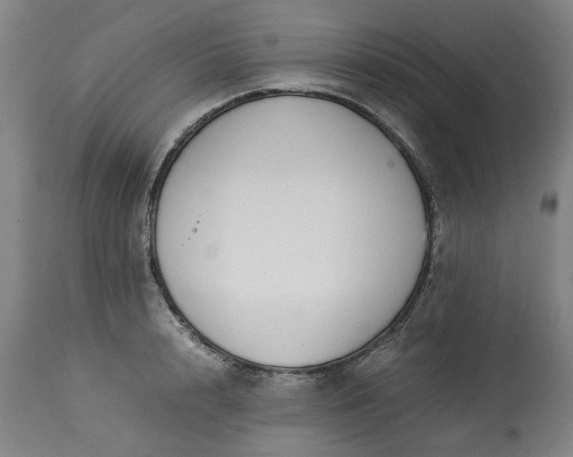 X0000113250848200909241610