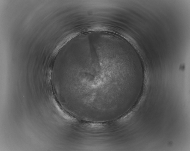 X0000113250849200909241610