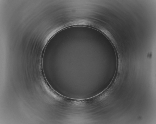 X0000113250850200909241610