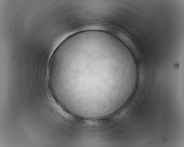 X0000113250852200909241610