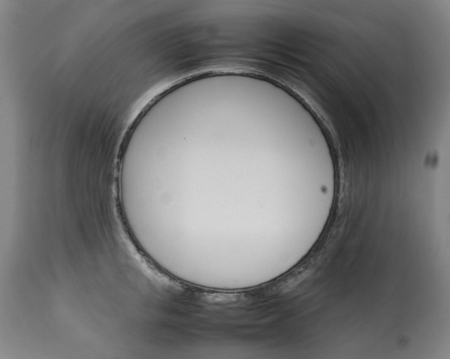 X0000113250853200909241610