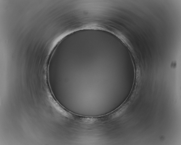 X0000113250854200909241610