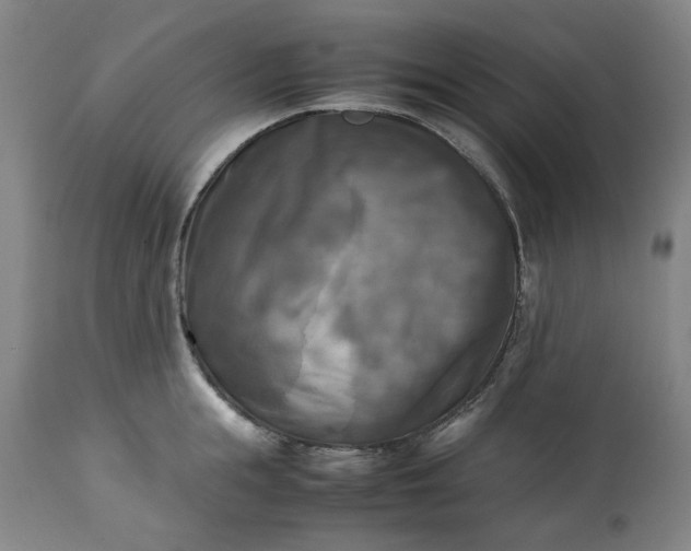 X0000113250855200909241610