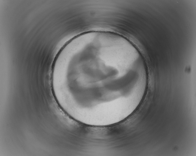 X0000113250856200909241610