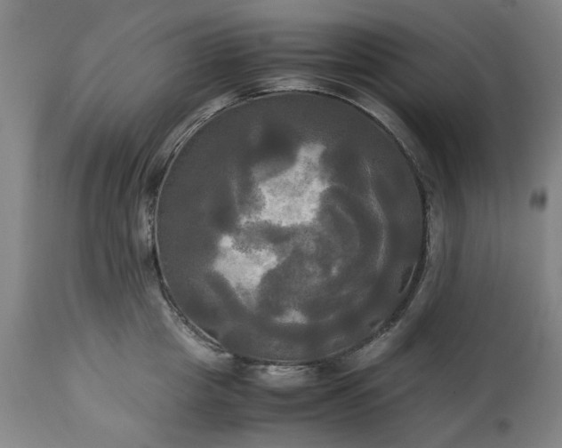 X0000113250857200909241610