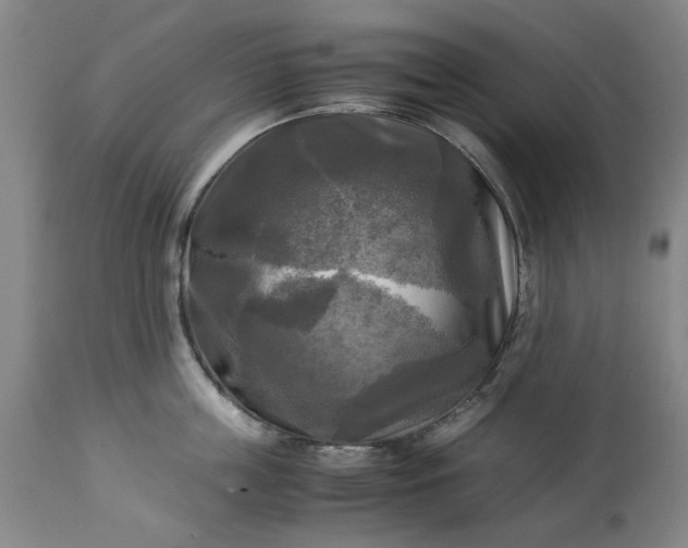 X0000113250859200909241610