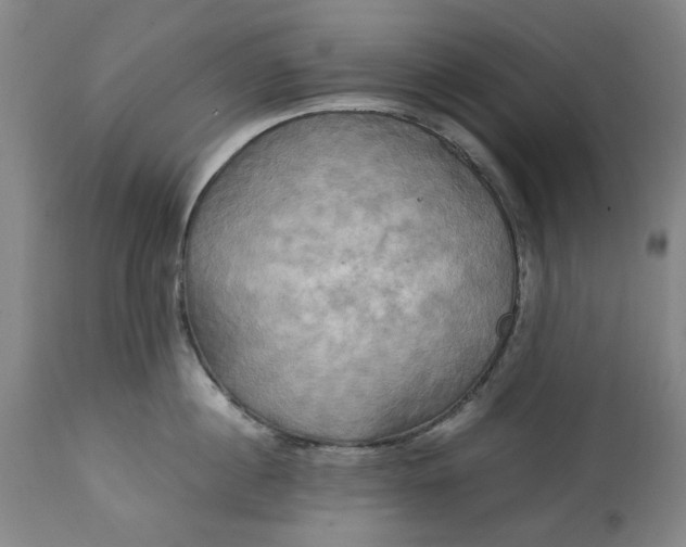 X0000113250860200909241610