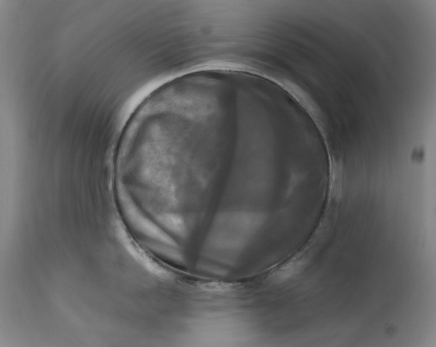 X0000113250862200909241610