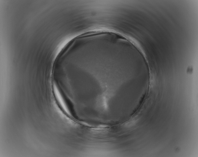 X0000113250863200909241610