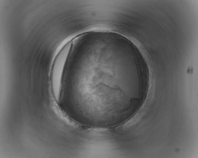 X0000113250864200909241610