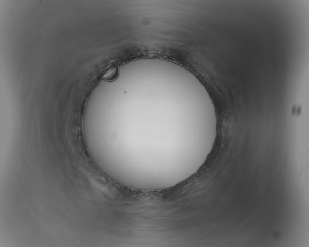 X0000113250865200909241609