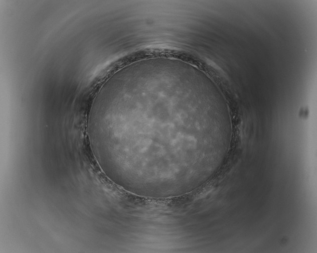 X0000113250870200909241609