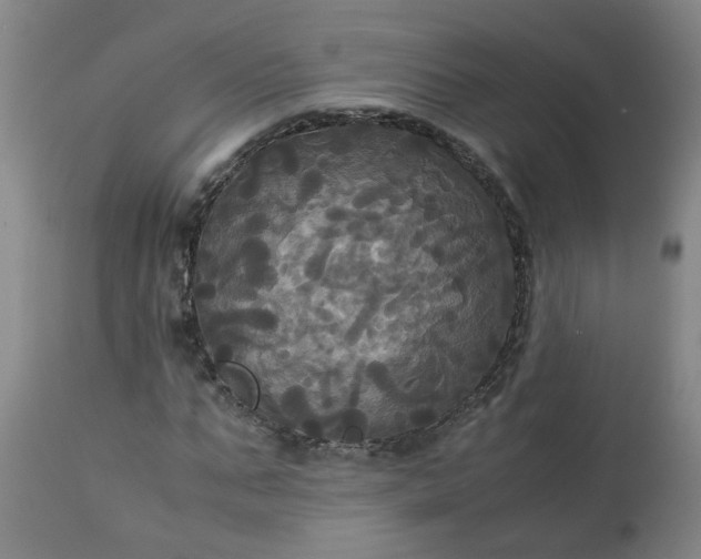 X0000113250871200909241609