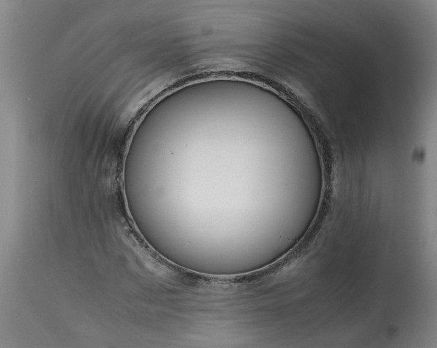 X0000113250873200909241609