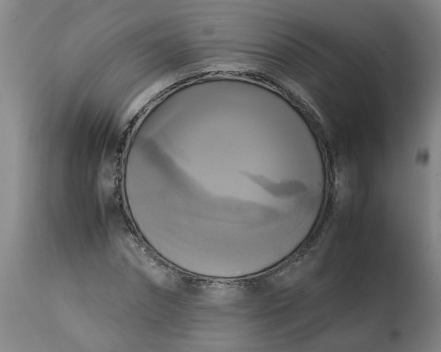 X0000113250874200909241609