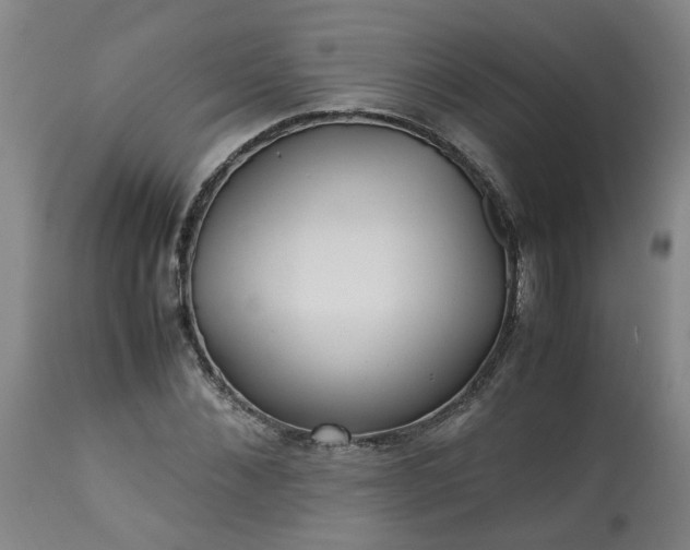 X0000113250876200909241609