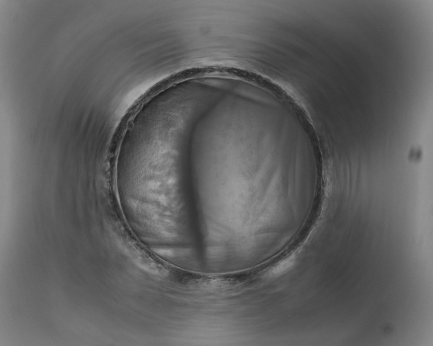 X0000113250879200909241609