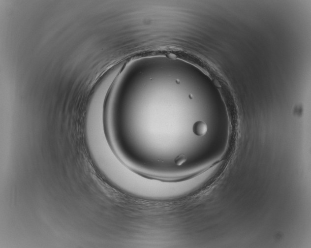 X0000113250881200909241609