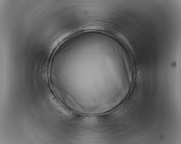 X0000113250882200909241609