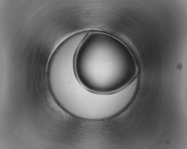 X0000113250884200909241609